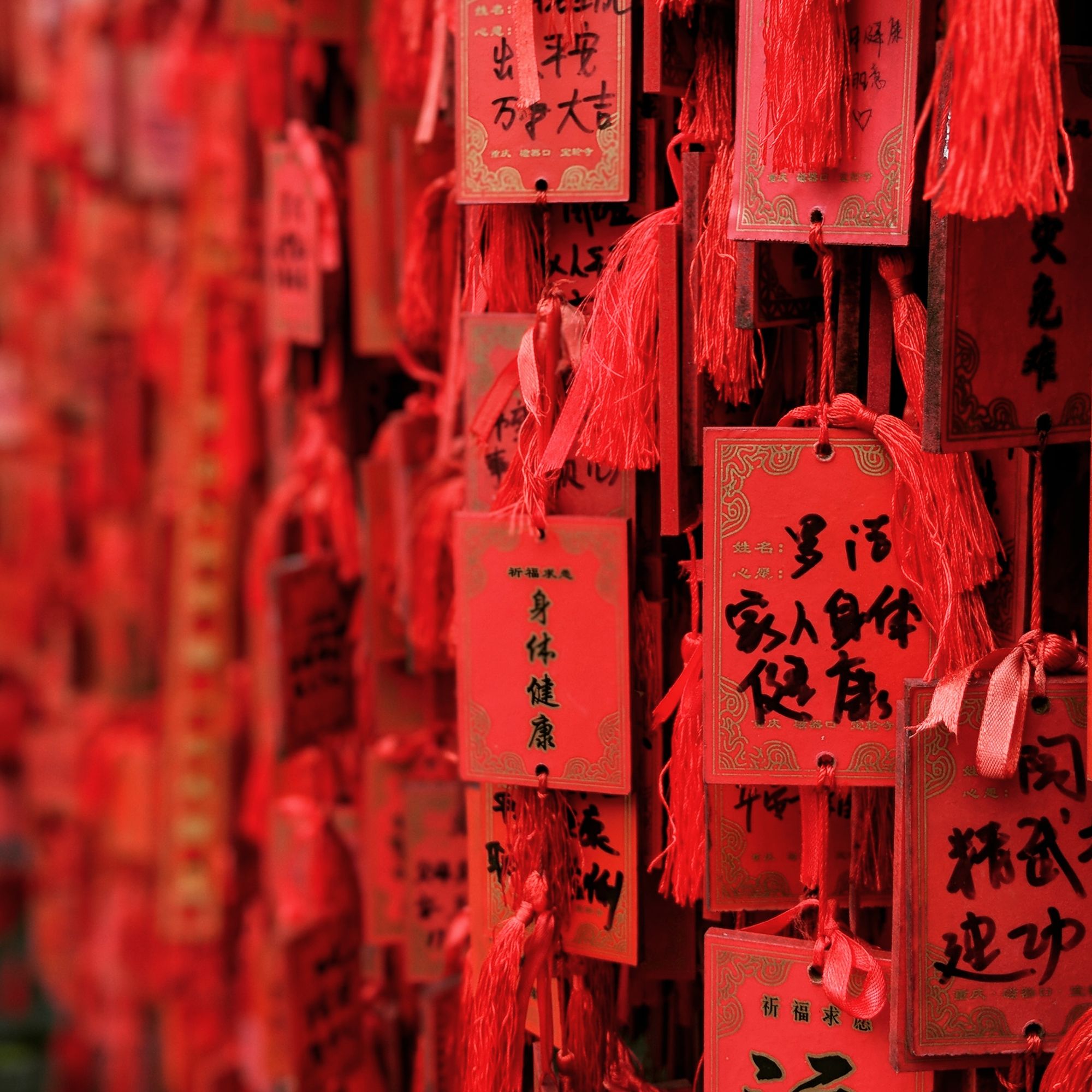  cover image of JPMorgan Adds To China
